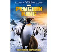 The Penguin King [DVD] [Edizione: Regno Unito]