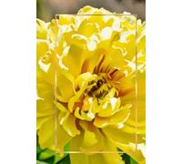 The Peony Portraits Journal (6x9 Lined Notebook) | Bloom & Vine Collection: Yellow peony oil painting cover design, 100 lined pages, personalized ... | Blooms on Vine × Vine Street Design Company