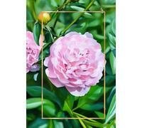 The Peony Portraits Journal (7x10 Lined Notebook) | Bloom & Vine Collection: Pink peony oil painting cover design, 100 lined pages, personalized title page | Blooms on Vine × Vine Street Design Company