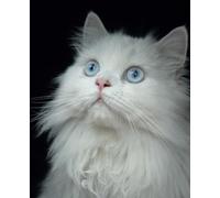 The Persian Cat Notebook / Journal: for cat lovers. Glossy Cover. 100 lined pages. 7.5" x 9.25"
