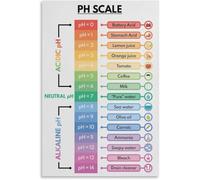 The pH Scale Chart - Scientific Reference Poster, Modern Print for Classroom, Home Office, or as a Gift for Students & Chemistry Lovers(Framed,16x24inch(40x60cm))