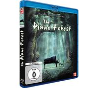 The Piano Forest