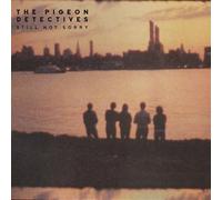 The Pigeon Detectives Still Not Sorry (CD) Album