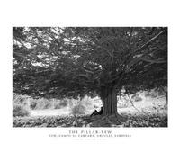 The Pillar-Yew. Yew, Campu Sa Carcara, Urzulei, Sardinia. Ediz. italiana e inglese. Con stampa Fine Art