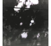 The Pilot Ships - Limits of Painting and Poetry by The Pilot Ships (2000-11-14)