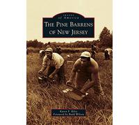 The Pine Barrens of New Jersey