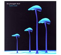 the Pineapple Thief - Build a World