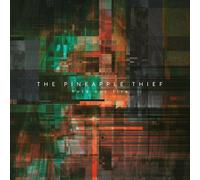 The Pineapple Thief - Hold Our Fire (LP)