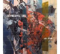 The Pineapple Thief Last to Run (Vinyl LP) 12" Album