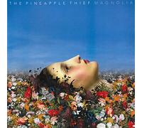 The Pineapple Thief - Magnolia