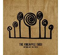 The Pineapple Thief – Nothing But the Truth – Vinile 2 LP Gatefold – Ediz. Limitata