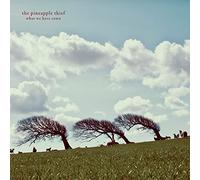 The Pineapple Thief - What we have sown