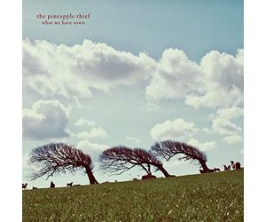 The Pineapple Thief - What we have sown