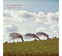 The Pineapple Thief What We Have Sown (CD) Album