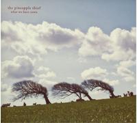 The Pineapple Thief What We Have Sown (Vinyl LP) 12" Album