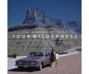 The Pineapple Thief - Your wilderness