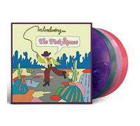 The Pink Stones - Introducing…The Pink Stones