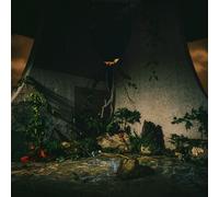The Plot In You - The Plot In You