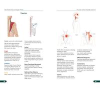 The Pocket Atlas of Trigger Points: A User-Friendly Guide to Muscle Anatomy, Pain Patterns, and the Myofascial Network for Students, Practitioners, and Patients: 0