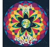 The Polyversal Souls Invisible Joy (Vinyl LP) 12" Album
