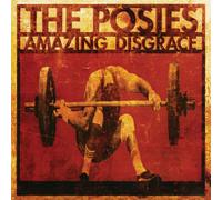 The Posies Amazing Disgrace (CD) Bonus Tracks Album