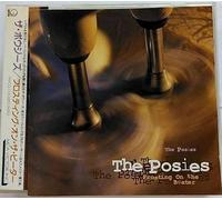 The Posies - Brand New Album [Tba]