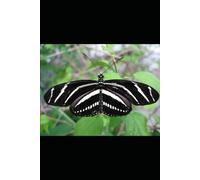 The POWER of the HOLY Spirit