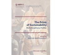 The prism of sustainability