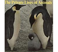 The Private Lives of Animals.