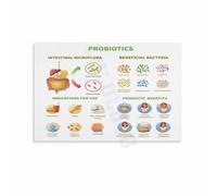 The Probiotics Poster Informative Guide on Gut Health Science Canvas Wall-Art Decor for Living Room Bedroom and Home Office(Unframed,16x24inch(40x60cm))