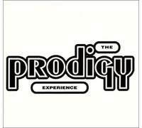 The Prodigy The Prodigy Experience (Vinyl LP) 12" Album