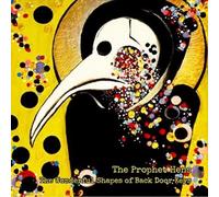 The Prophet Hens The Wonderful Shapes of Back Door Keys (CD) Album