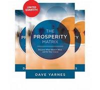 The Prosperity Matrix by Dave Yarnes (2015-12-24)