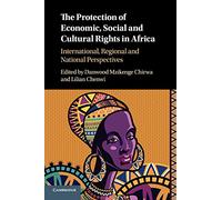 The Protection of Economic, Social and Cultural Rights in Africa: International, Regional and National Perspectives