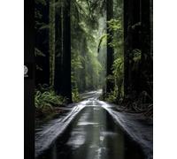 The Quiet Forest Notebook: Lined Journal for Writing, Notes, and Reflection