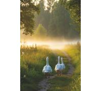 The Quiet Path : A Lined Journal for Thoughts, Dreams & Everyday Moments: A Beautiful Notebook for Writing, Journaling, and Creative Ideas