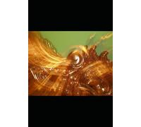 THE QUIRE CATALOGUE: The Last Yellow Pages of Everything