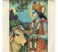 The Radha Krsna Temple - Govinda