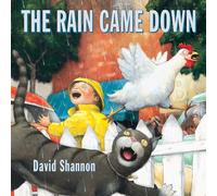 The Rain Came Down