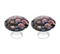 The Rain Moistens The Flower Path Cabinet Knob 2 Pack Round Drawer Pull Kitchen Cabinet Hardware Acciaio Inox Cassetto Pomello Semplice Tirare per Comò Armadio Pomelli Porta Armadio Armadio