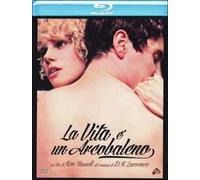 La Vita È Un Arcobaleno (Blu-ray) David Hemmings Dudley Sutton Jim Carter