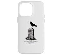 The Raven Il corvo Poe Usher lapide gotico nevermore scuro Custodia per iPhone 14 Pro Max