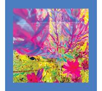 The Reds, Pinks and Purples The Past Is a Garden I Never Fed (CD) Album
