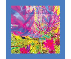 The Reds, Pinks and Purples The Past Is a Garden I Never Fed (CD) Album