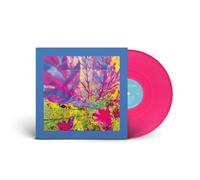 The Reds, Pinks and Purples The Past Is a Garden I Never Fed (Vinyl LP)