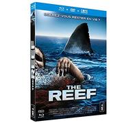 The reef
