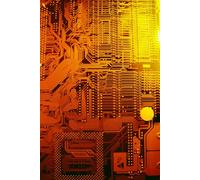 THE RELATIONSHIPS BETWEEN NEUTRALIZATION TECHNIQUES AND INTENT IN COMMITTING NON-MALICIOUS SECURITY VIOLATIONS: A CORRELATIONAL STUDY