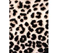 The Rich Girl Mindset, 60- Daily Money Affirmations for Wealth, Worth & Success. Money Mindset Edition, Dot Grid Journal