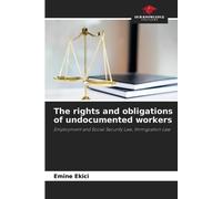 The rights and obligations of undocumented workers: Employment and Social Security Law, Immigration Law
