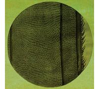 The Ring Of The Rise by Micah Blue Smaldone